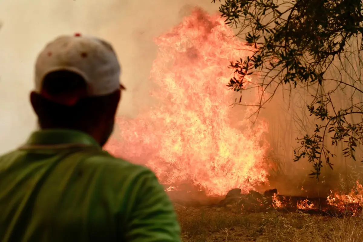 Este ano já deflagraram 5963 incêndios, a maioria nas regiões do Norte e Centro