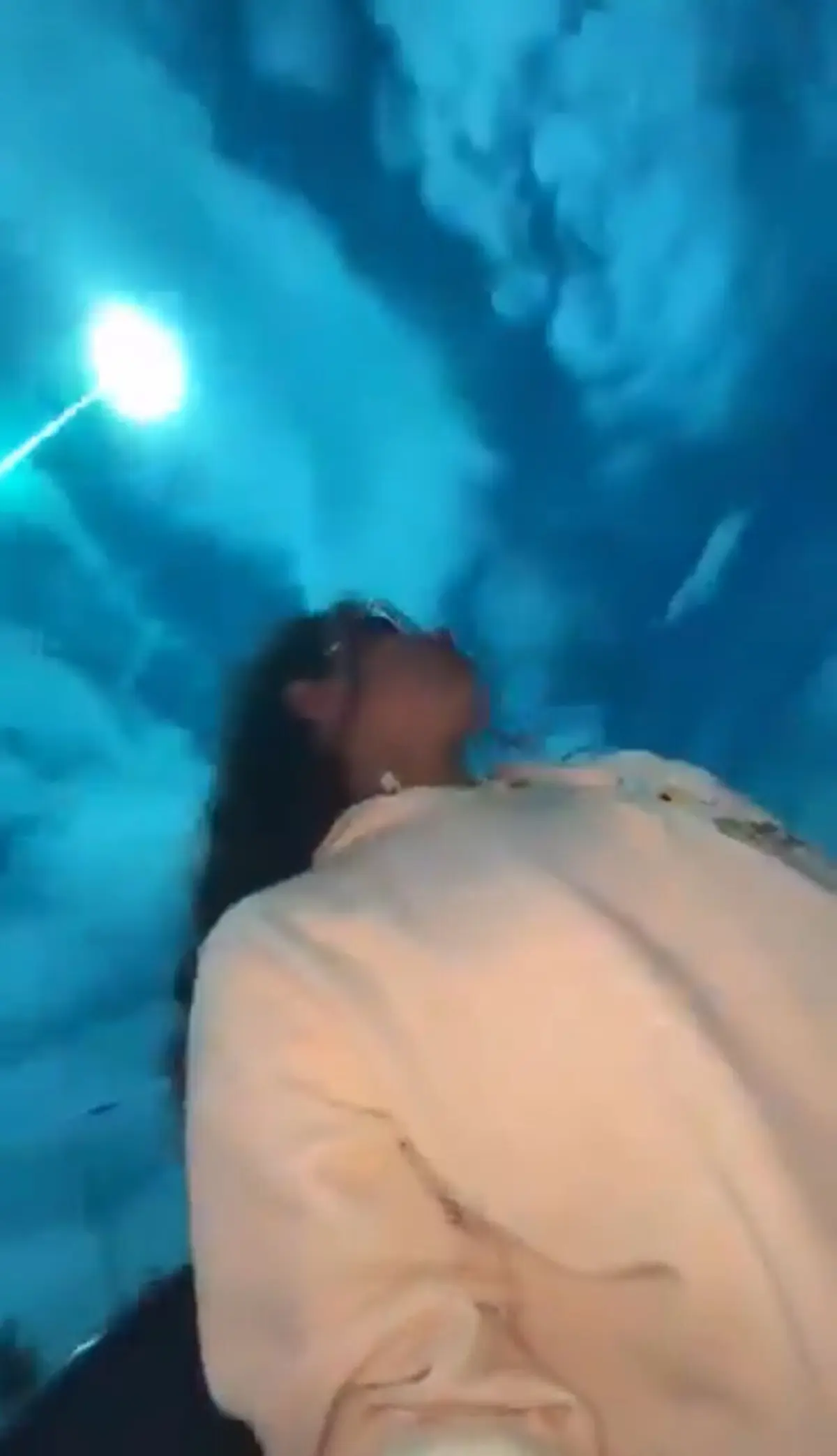 Os meteoritos variam na sua dimensão e composição