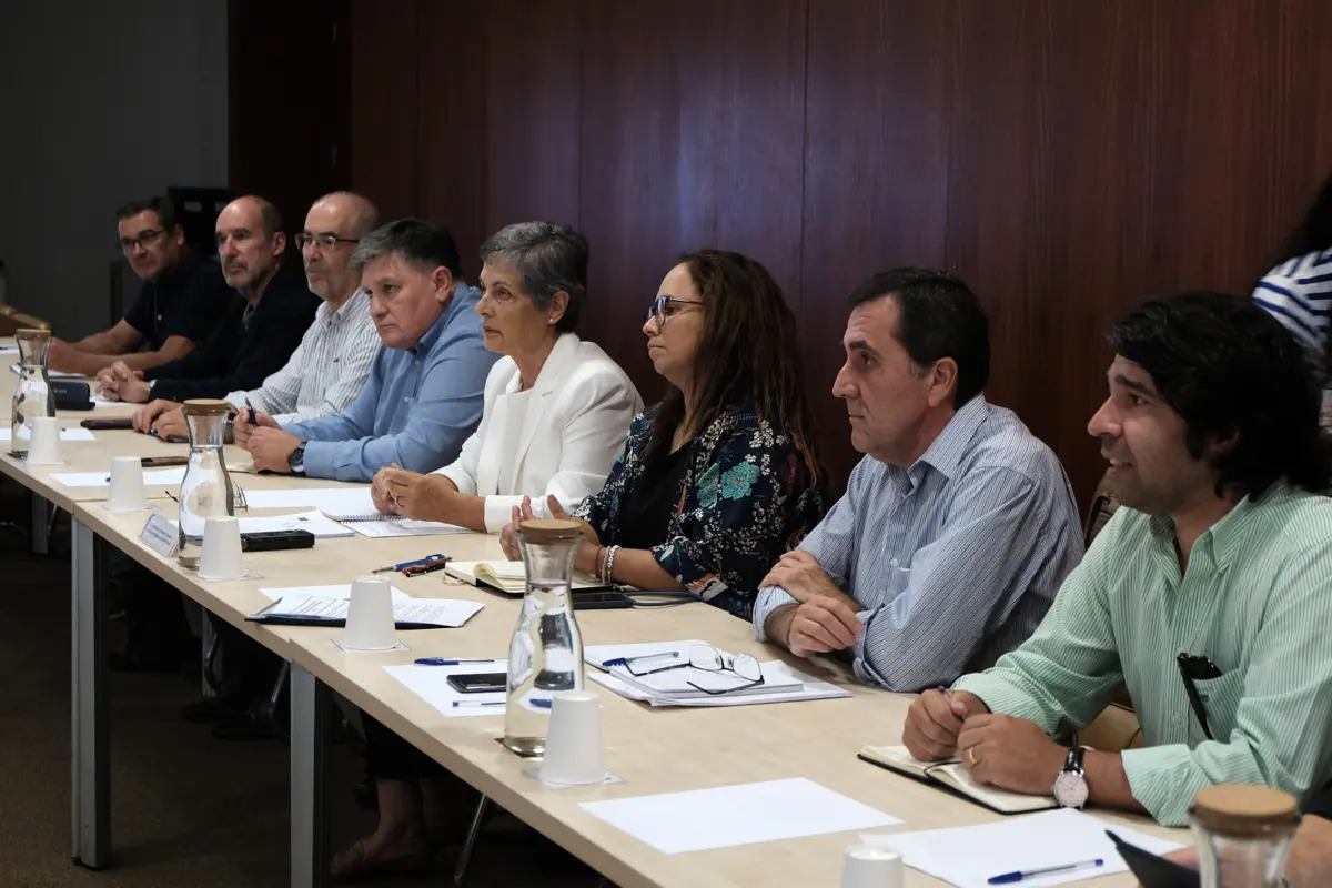 Alterações na justificação por doença, férias ou pré-aviso de greve não são de "grande monta", segundo o STE