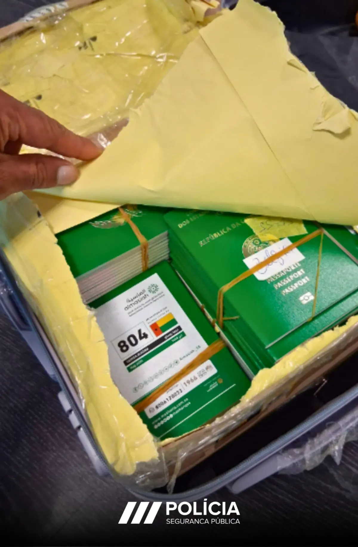 PSP apreendeu 353 passaportes