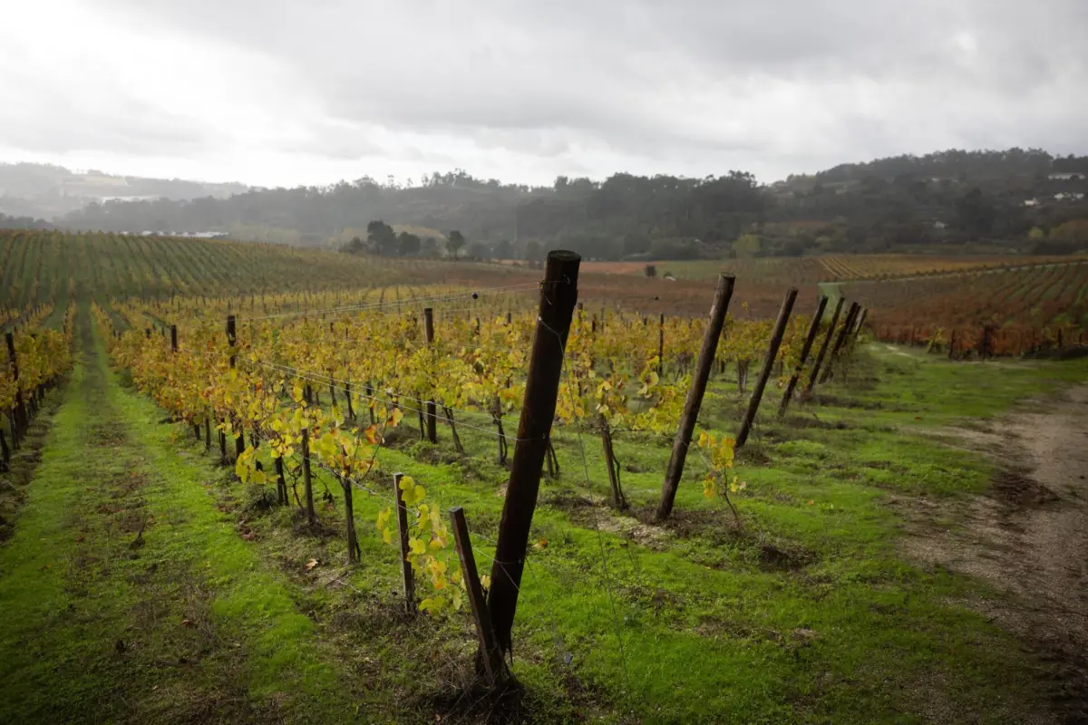 Medidas de coação proíbem contactos entre funcionários e os demais arguidos no processo