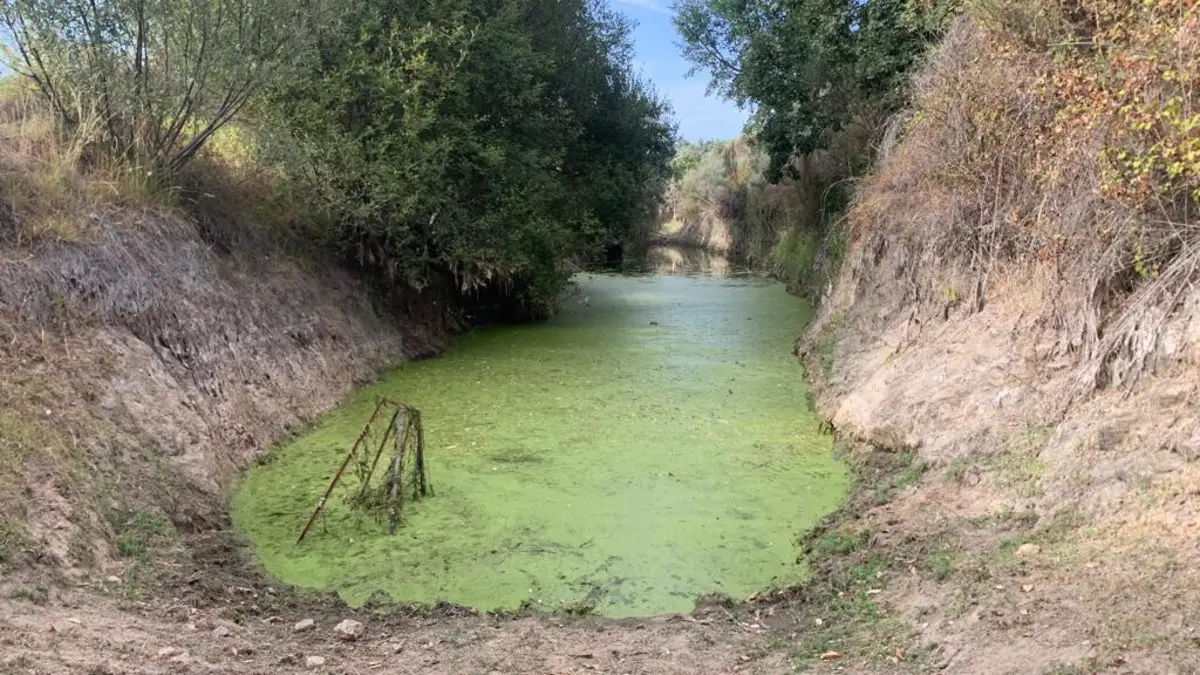 Charca onde as vítimas foram encontradas