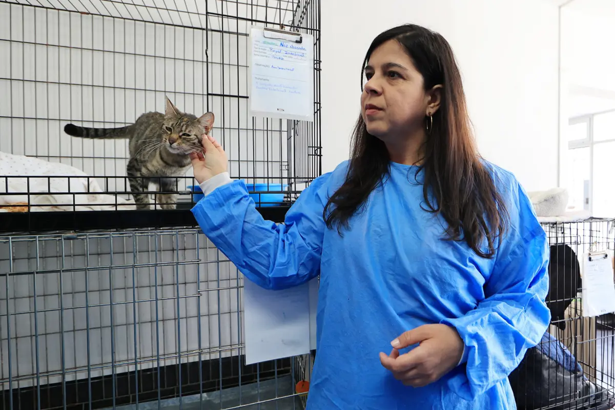 Campanha do PAN na Maia