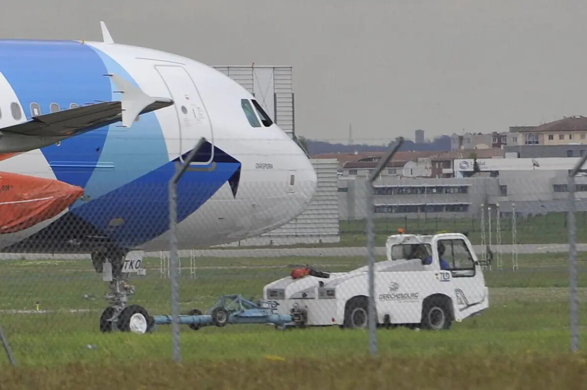 Imagem de contexto do artigo Avião da SATA colide com "bando significativo" de gaivotas a descolar de Ponta Delgada