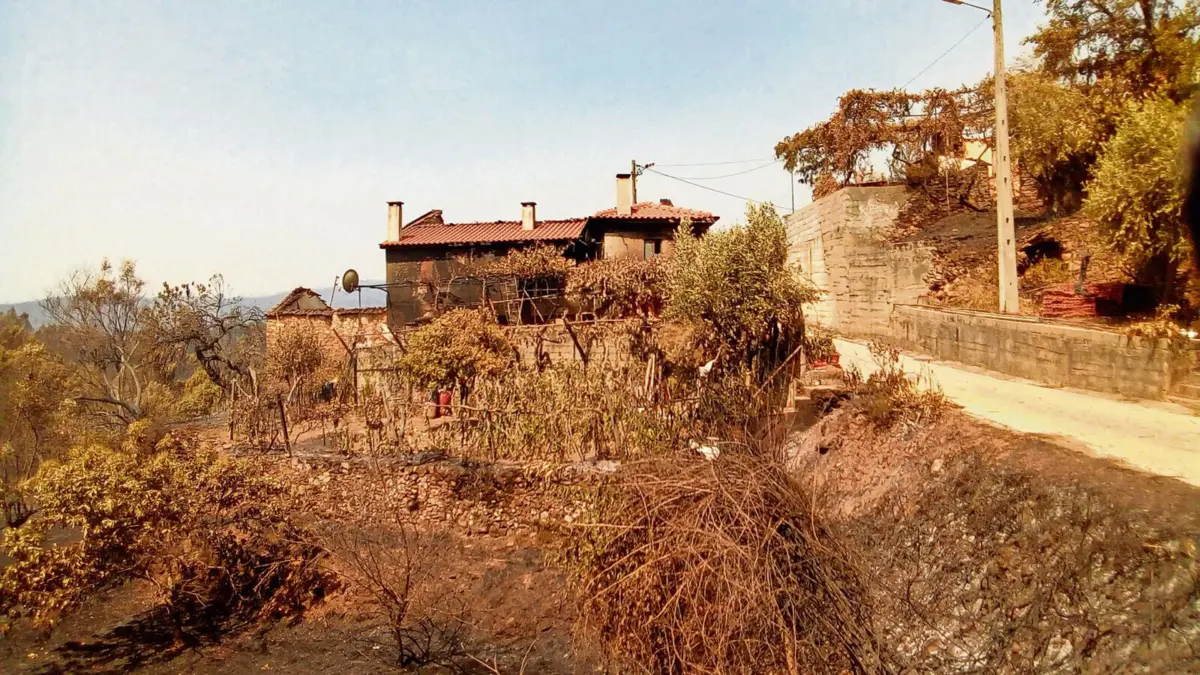 Casa de Alzira Luís, que ficou destruída pelos fogos de 17 de junho de 2017