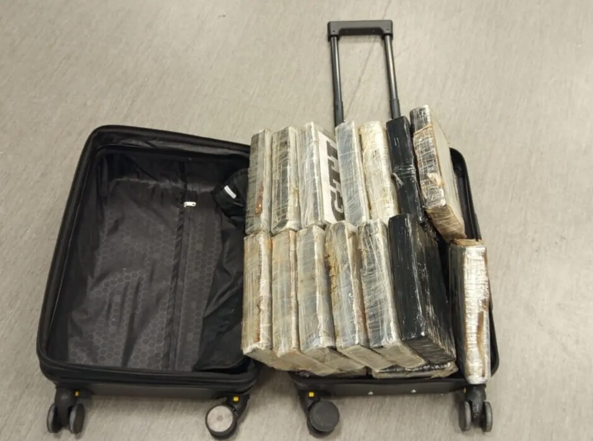 Cerca de 50 quilos de cocaína estavam numa mala sem qualquer disfarce