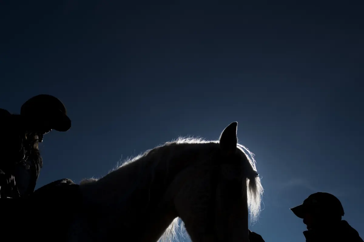Hipoterapia é uma das vertentes do tratamento que está a ser essencial para o pequeno Miguel