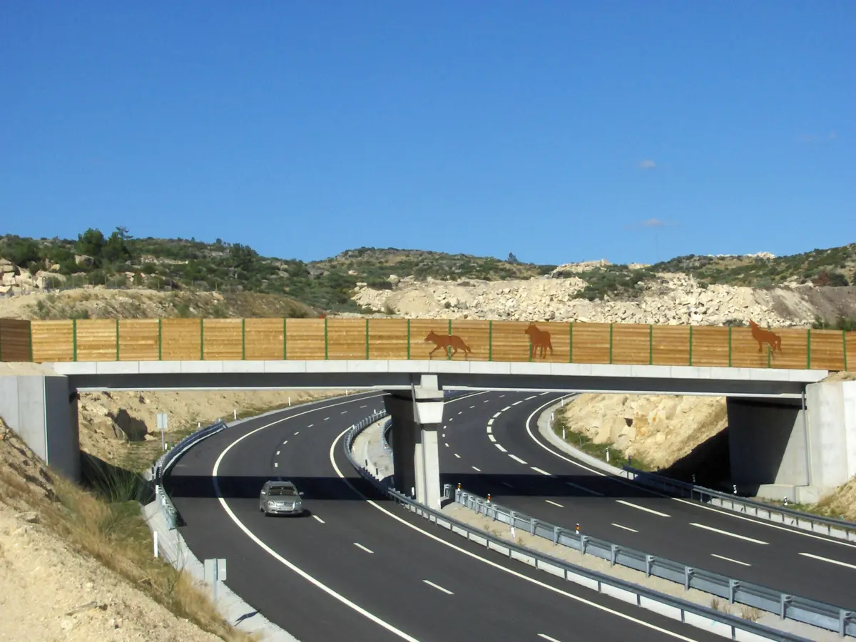 Ecoduto na zona da Serra da Falperra, na A24, para a passagem de lobos ibéricos