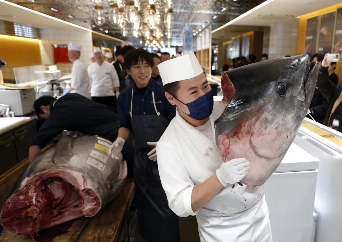 Imagem de contexto do artigo Restaurante de sushi paga quase 1,3 milhões de euros por atum num leilão em Tóquio