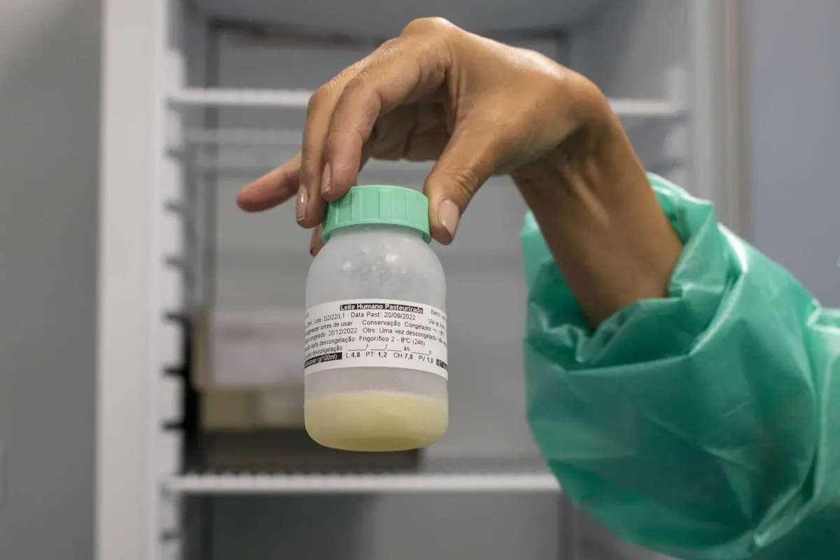 Banco de Leite Humano do Norte funciona no Hospital S. João desde setembro de 2022