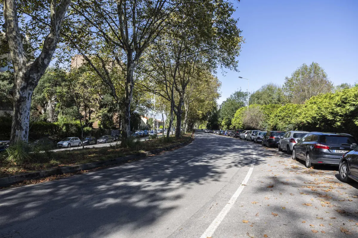 Zona hoje ocupada pelos carros terá passeios