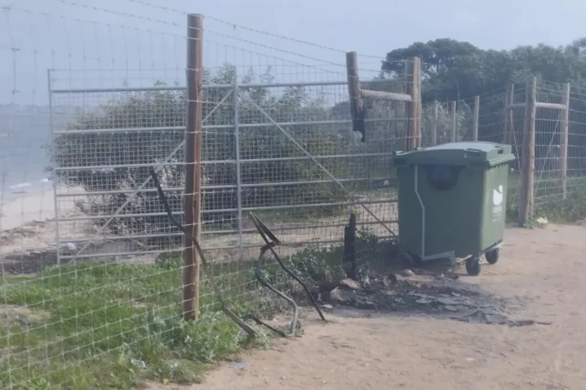 Corpo foi encontrado a 29 de janeiro. PJ anunciou a detenção do suspeito de homicídio qualificado e profanação de cadáver.