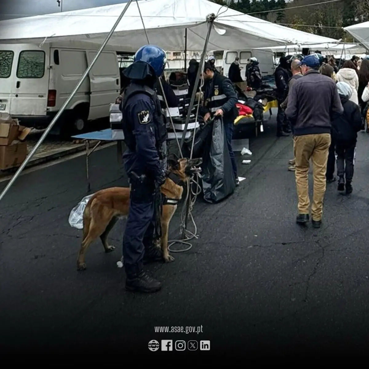 PSP auxiliou ASAE na operação