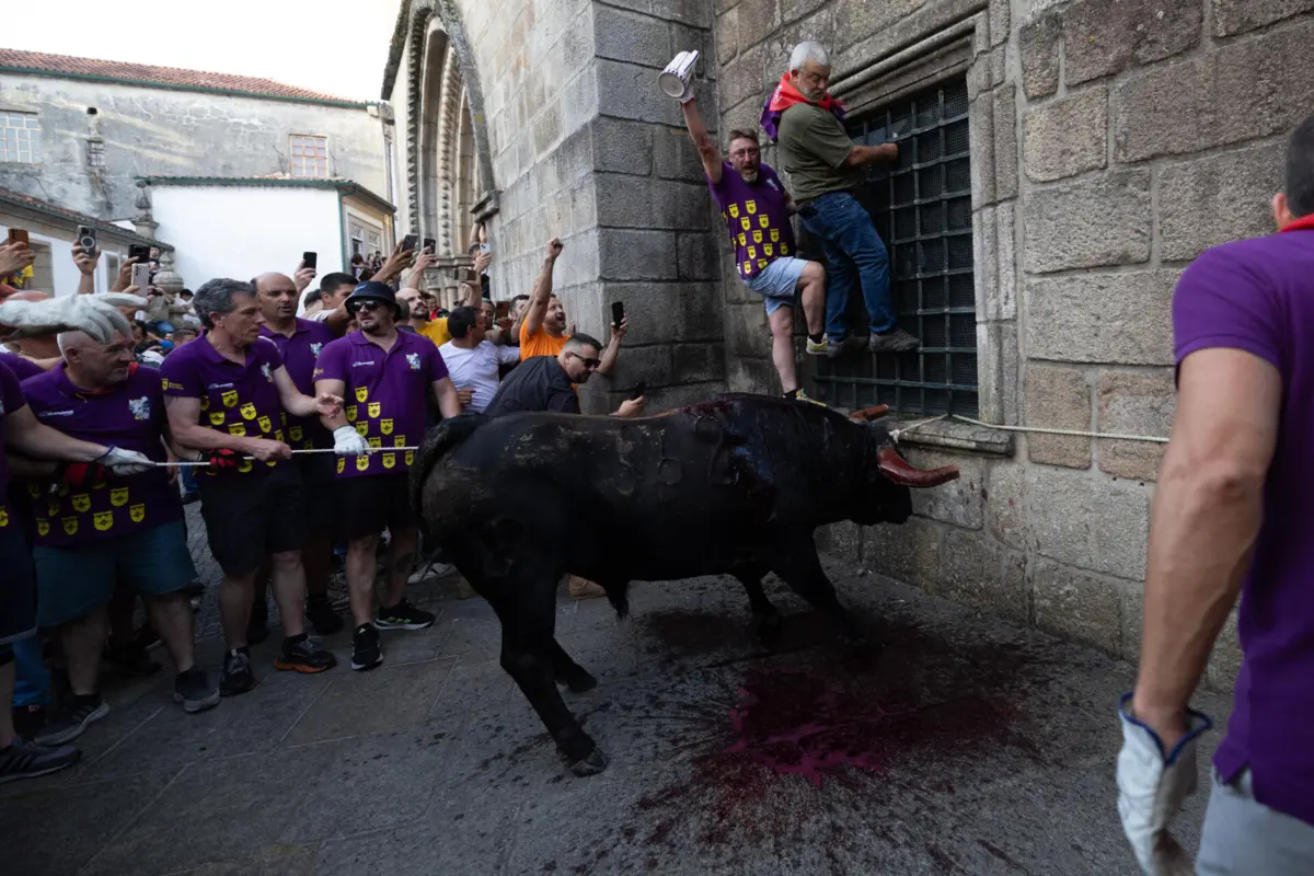 Multidão assistiu entusiasmada ao percurso