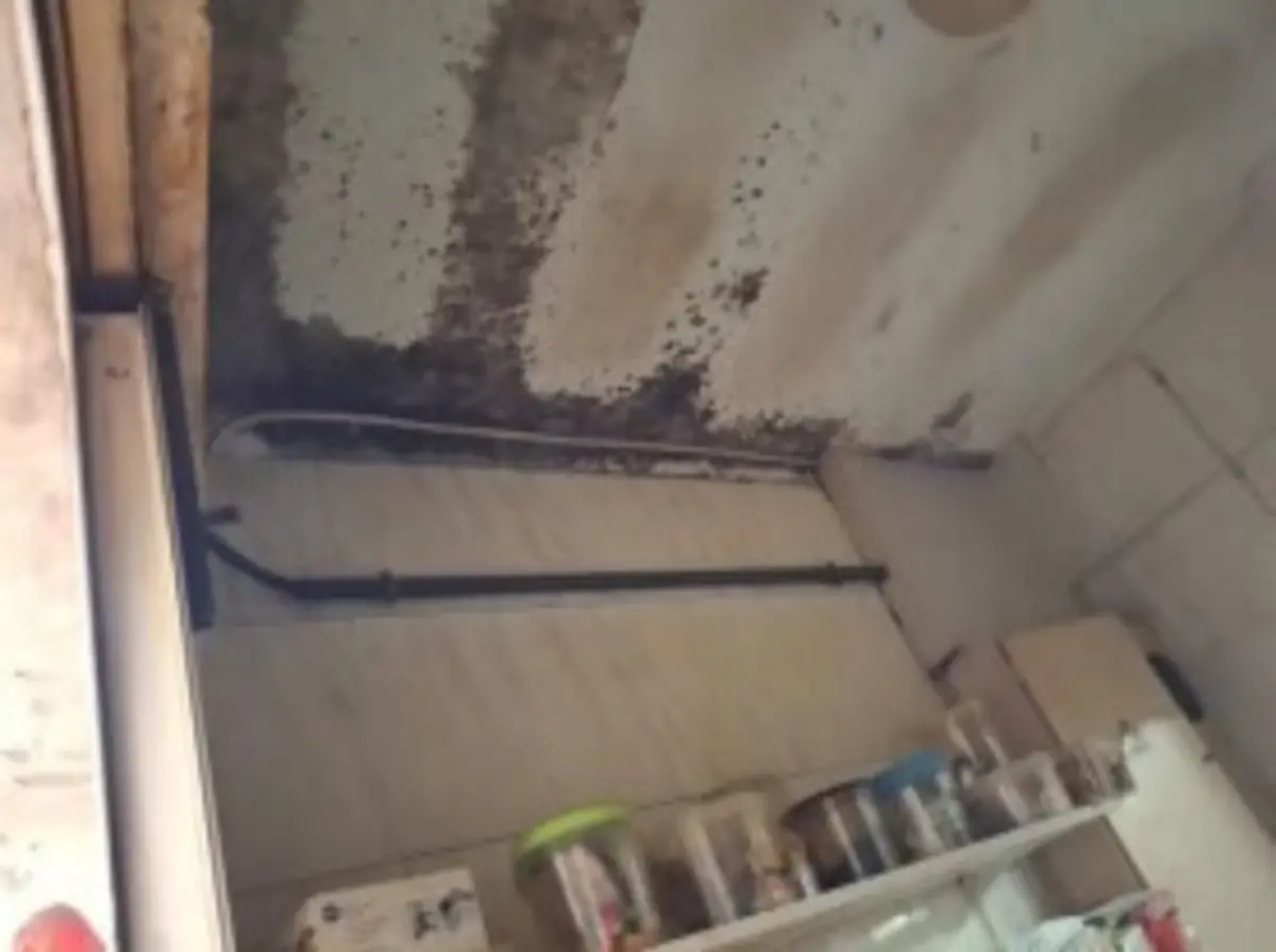 Operação da ASAE levou ao encerramento de cinco padarias