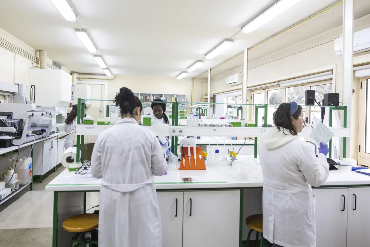 Tribunal pediu a ex-amante que fizesse teste de ADN em laboratório reconhecido, mas ele não quis