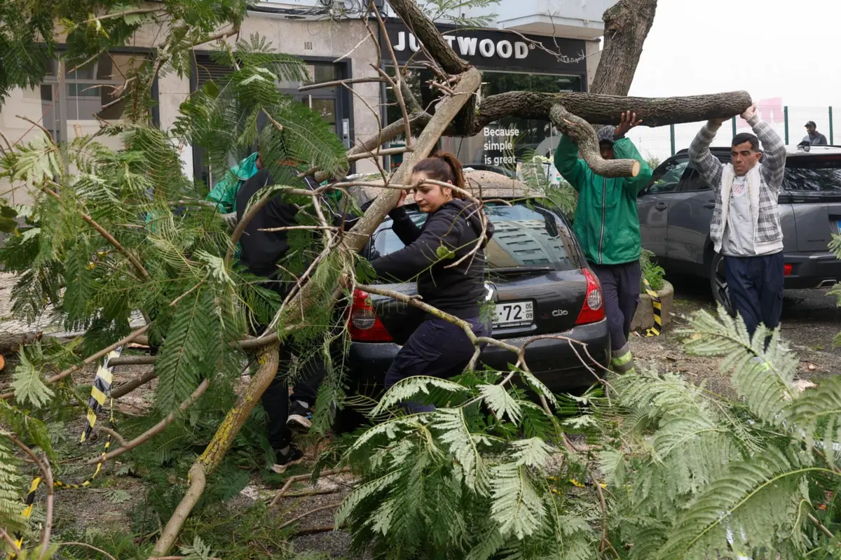Imagem de contexto do artigo Árvores caídas e semáforos avariados: os efeitos da depressão Kristin em Lisboa