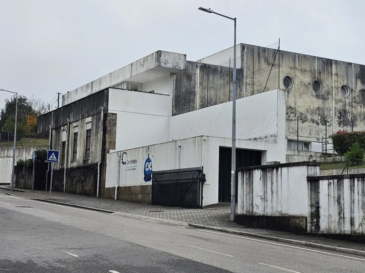 Ministério diz que Cercifeira não pediu docente de forma atempada