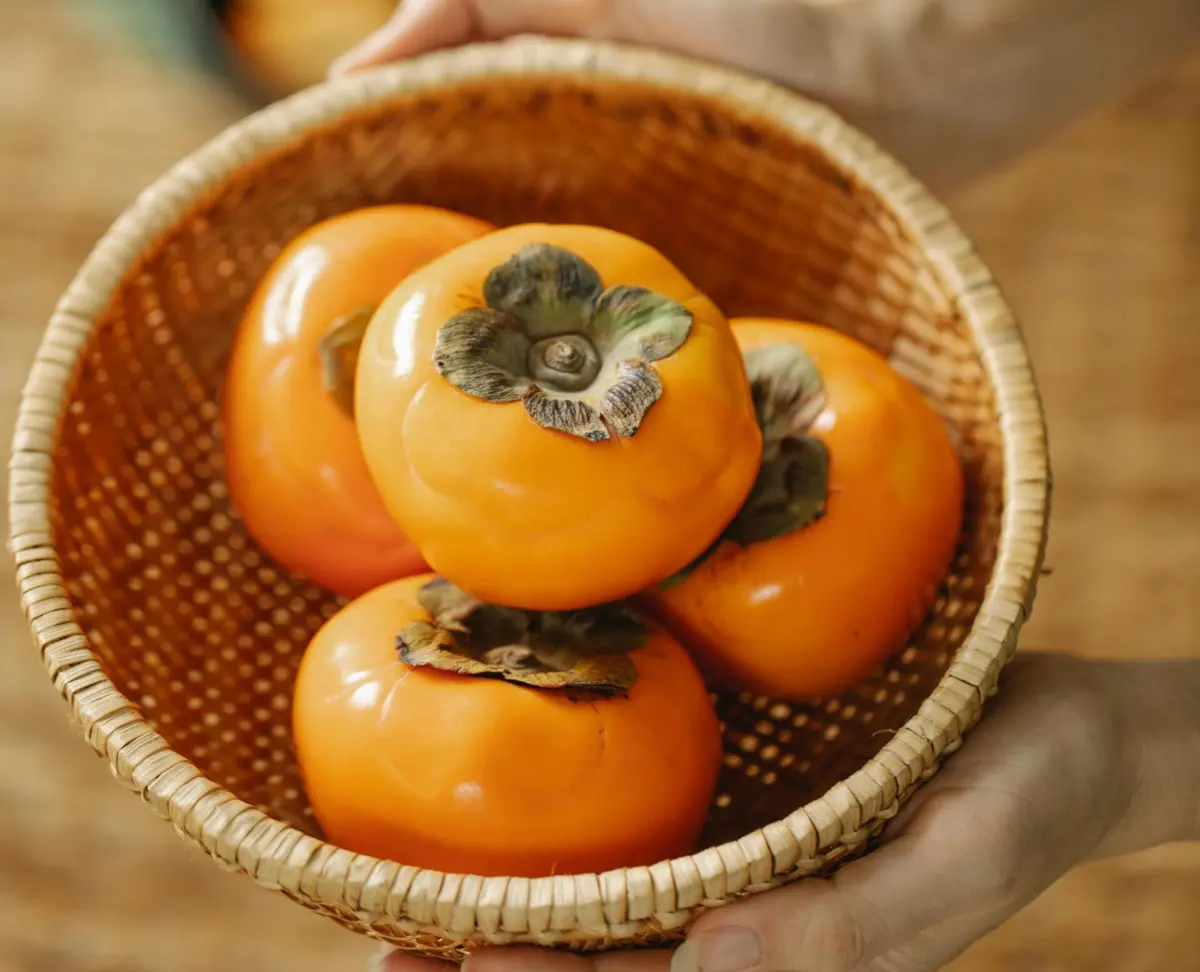 Dióspiros serão transformados em vinagre.