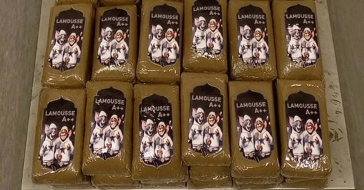 PJ deteve dois homens e apreendeu 20 mil doses de haxixe