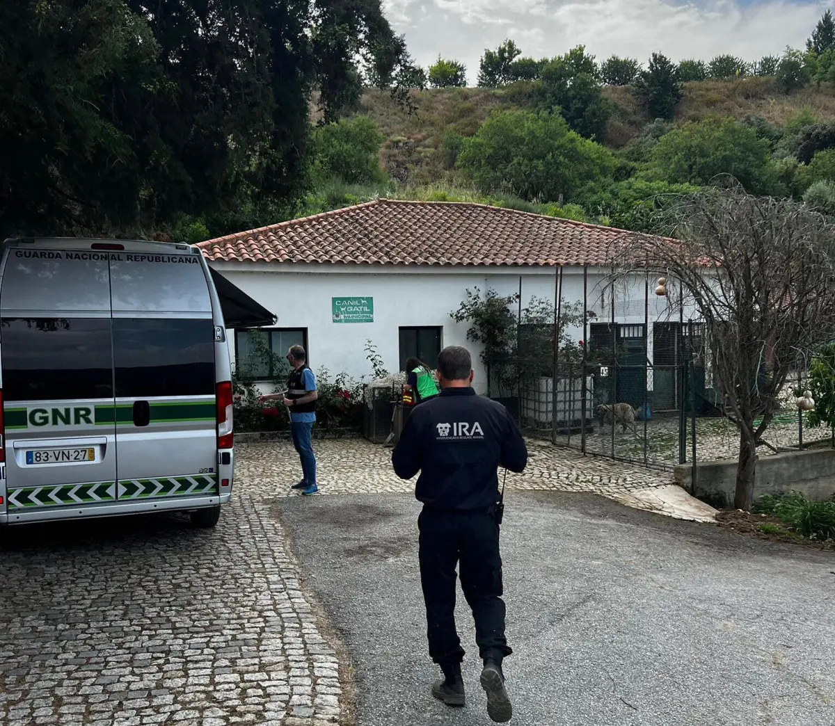 Animais foram recolhidos por elementos da GNR e do IRA