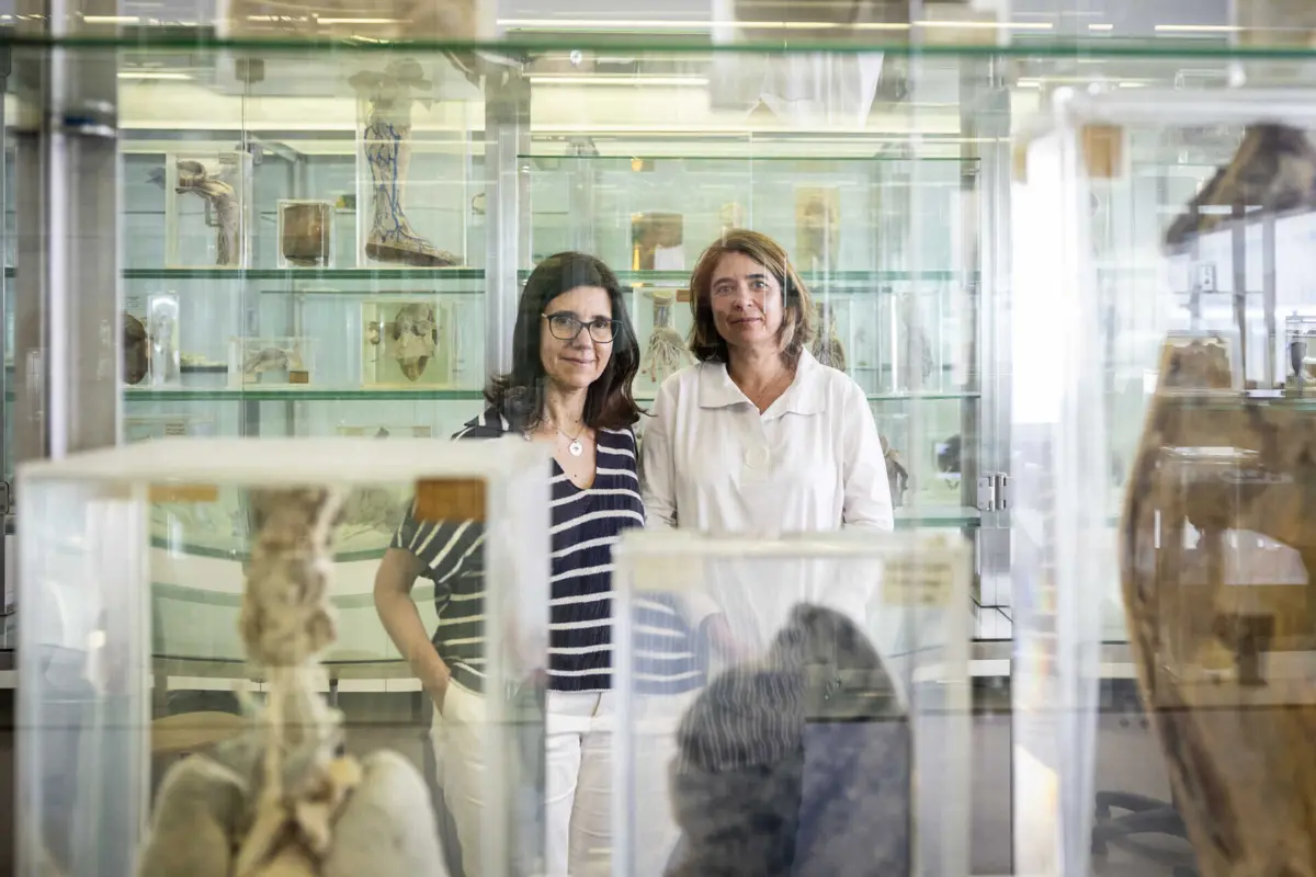 Paula Proença (à esquerda) e Maria João Oliveira (à direita), respetivamente, vice-diretora e diretora do departamento de anatomia