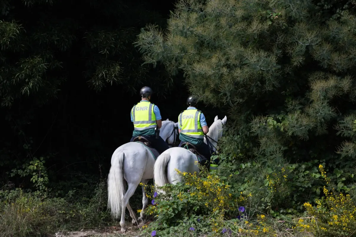 Presença dos cavalos na floresta é silenciosa, o que permite aos militares surpreender suspeitos