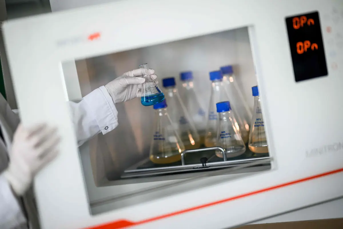 Cientistas britânicos descobrem que sessões adicionais de quimioterapia podem ajudar a descobrir a cura para o cancro do cólo do útero