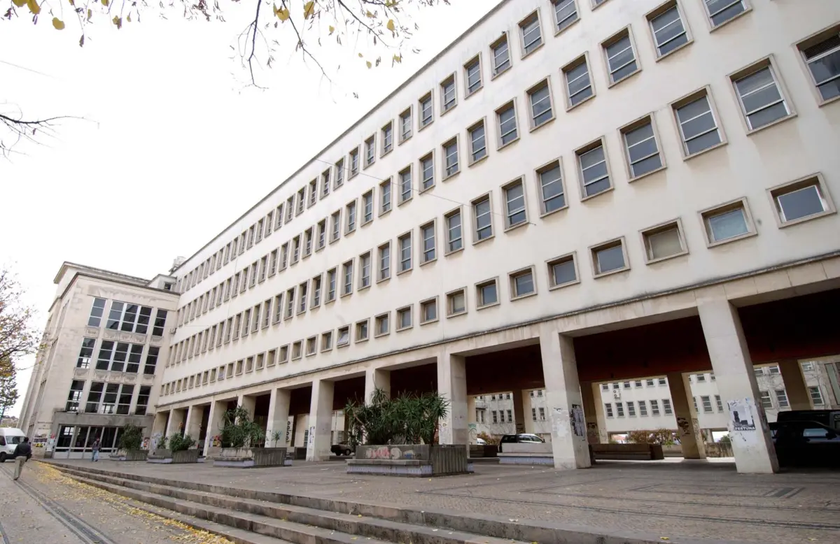 Imagem de contexto do artigo Cientista de Coimbra descobre novo fungo capaz de deteriorar monumentos de pedra