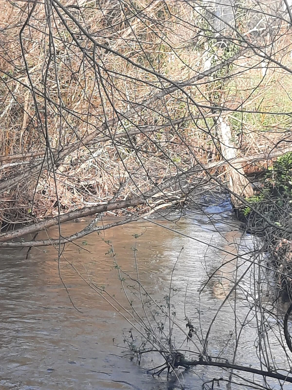 Buscas decorriam há vários dias junto ao rio