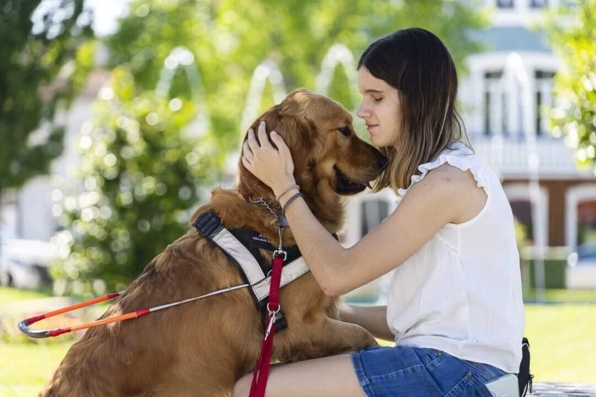 "Gingko" e Marta Paço