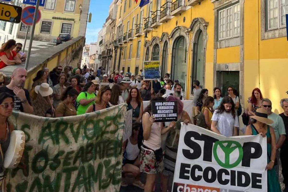 Imagem de contexto do artigo Centenas manifestam-se em Lisboa contra abate de sobreiros em Sines