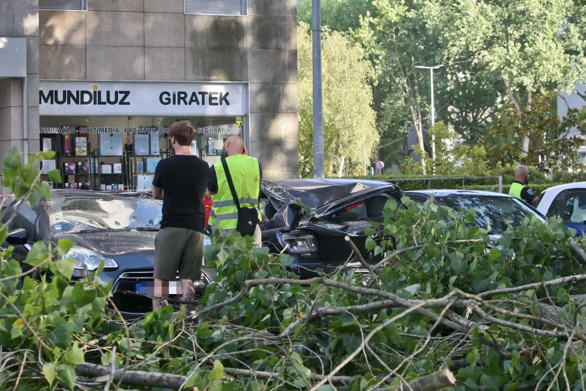 O alerta foi dado pelas 17.15 horas