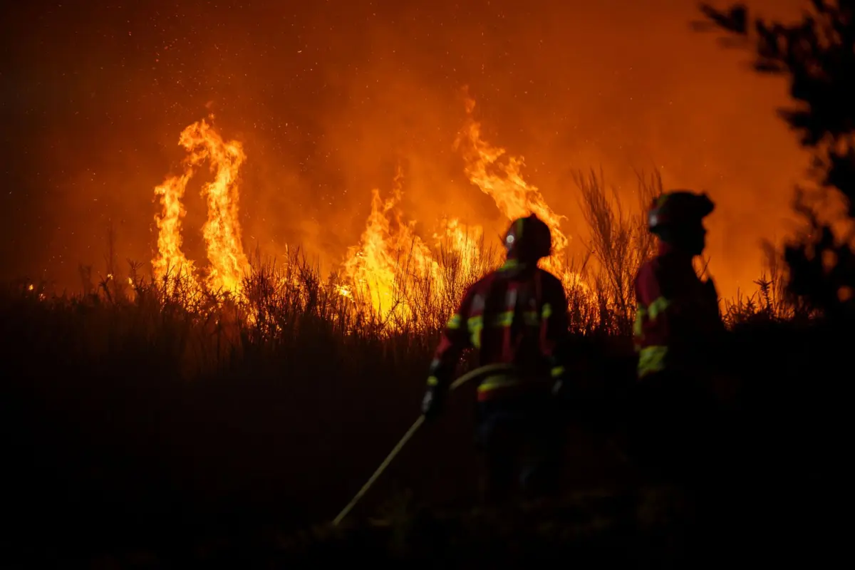O secretário de Estado da Proteção Civil disse que "o mecanismo europeu não é uma bolsa de meios aéreos que está disponível"