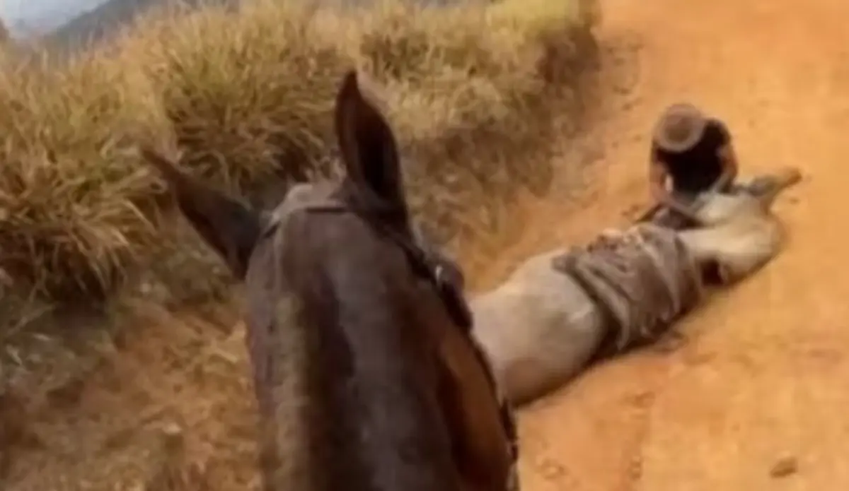 O caso ocorreu na zona rural de Bananal, no interior de São Paulo