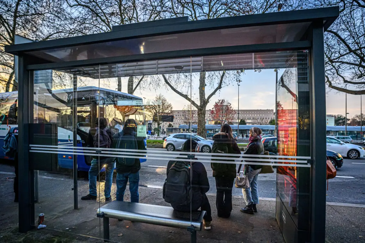 Linha 900 está a ser um sucesso no primeiro mês de operação