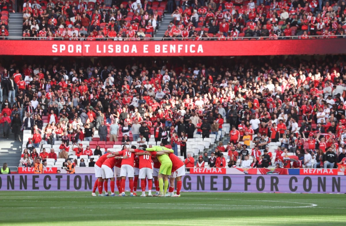 Instaurado processo às águias