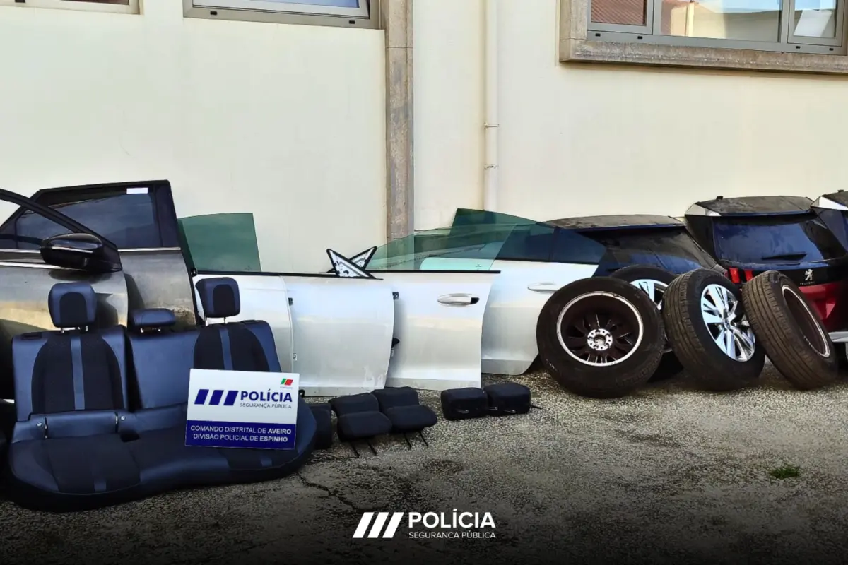 A rede atuava em vários concelhos do país e terá provocado prejuízos superiores a um milhão de euros