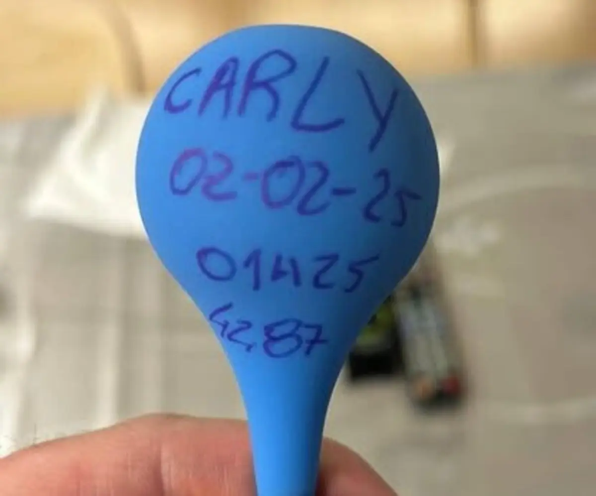 Nascimento de Carly foi o primeiro parto feito por Nuno e Hugo