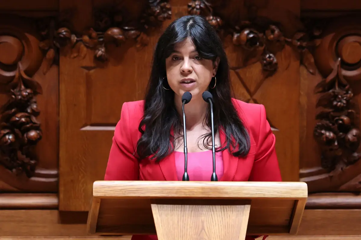 A porta-voz do Pessoas-Animais-Natureza (PAN), Inês Sousa Real