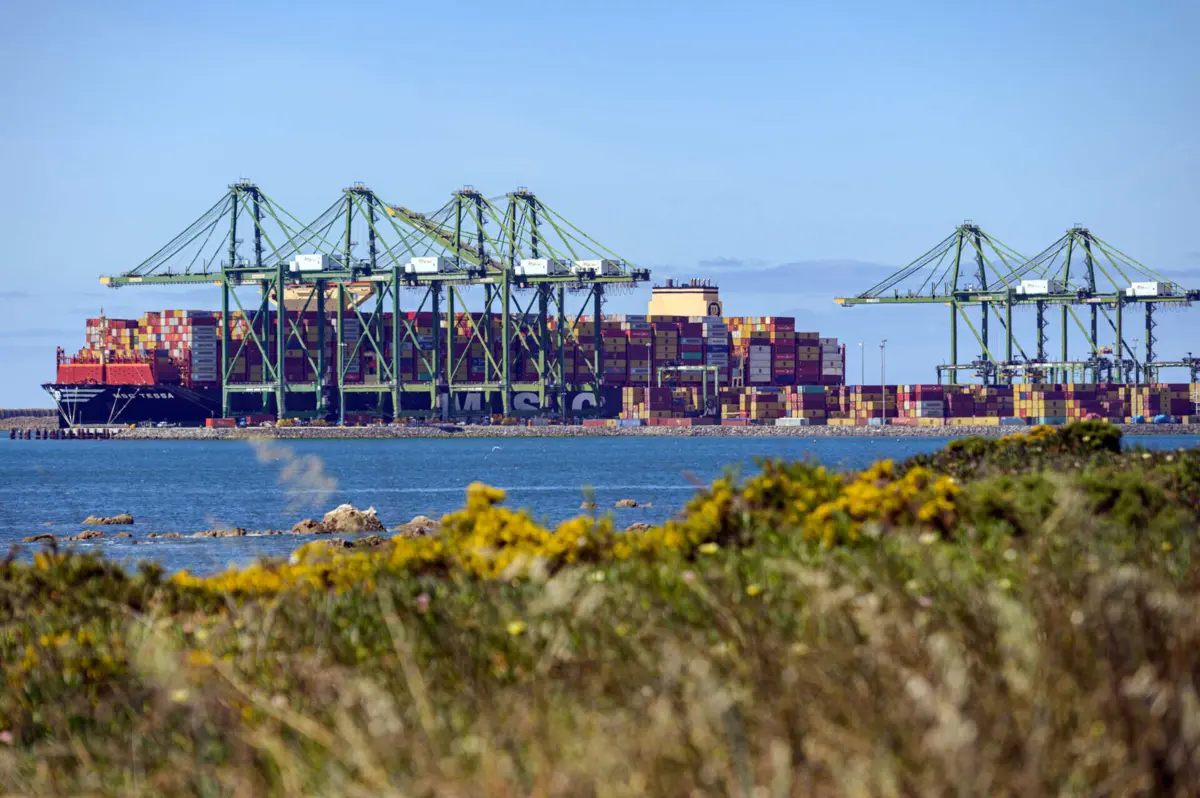 A droga encontrava-se dissimulada "numa carga convencional de óleos lubrificantes"