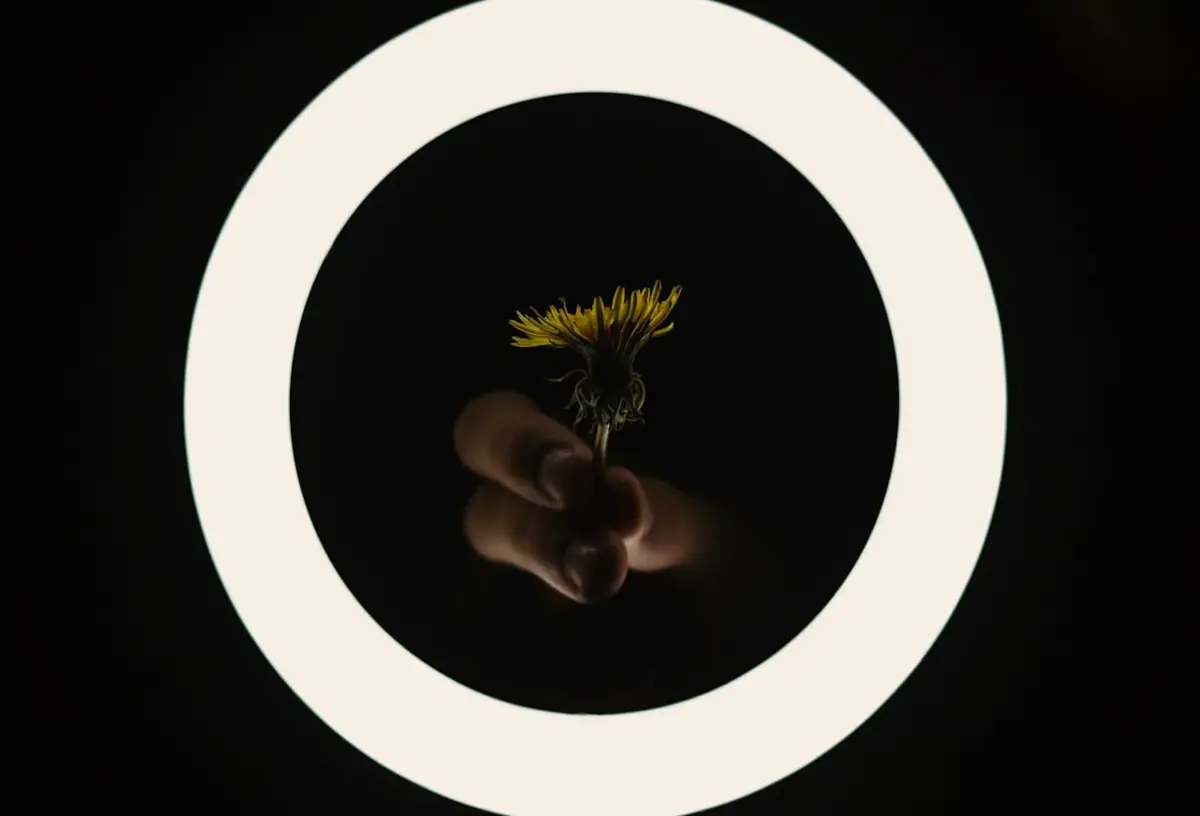 Projeto de lei deverá entrar em vigor a 1 de julho