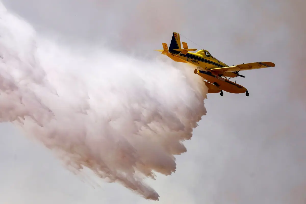 Segundo dados oficiais provisórios, até 19 de agosto arderam mais de 201 mil hectares no país, mais do que a área ardida em todo o ano de 2024