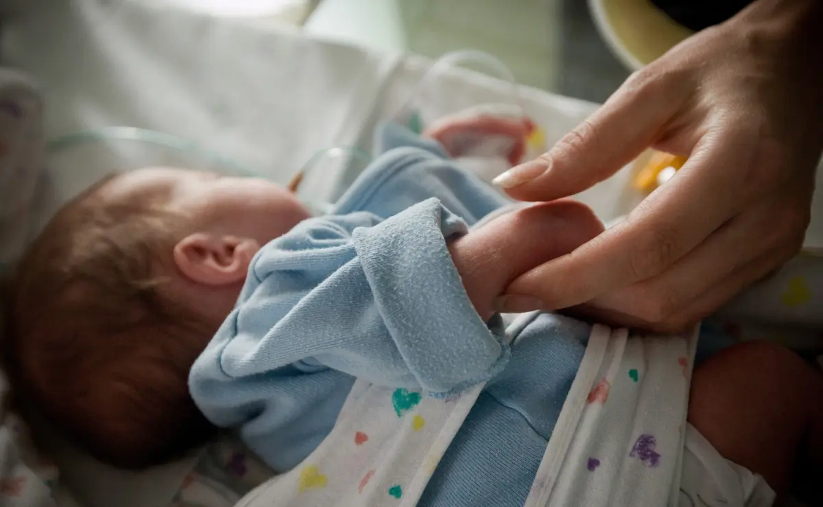 A quantidade de ADN mitocondrial mutado, que causa doenças, foi reduzida em 95% a 100% em seis dos bebés