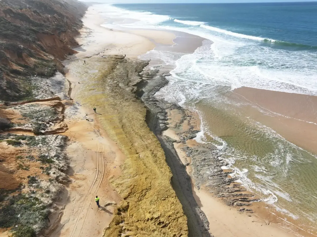 Fósseis foram descobertos a norte da praia da Galé, em meados de fevereiro