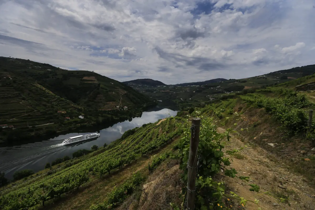 Imagem de contexto do artigo Turismo do Porto e Norte lança plataforma online para vender experiências