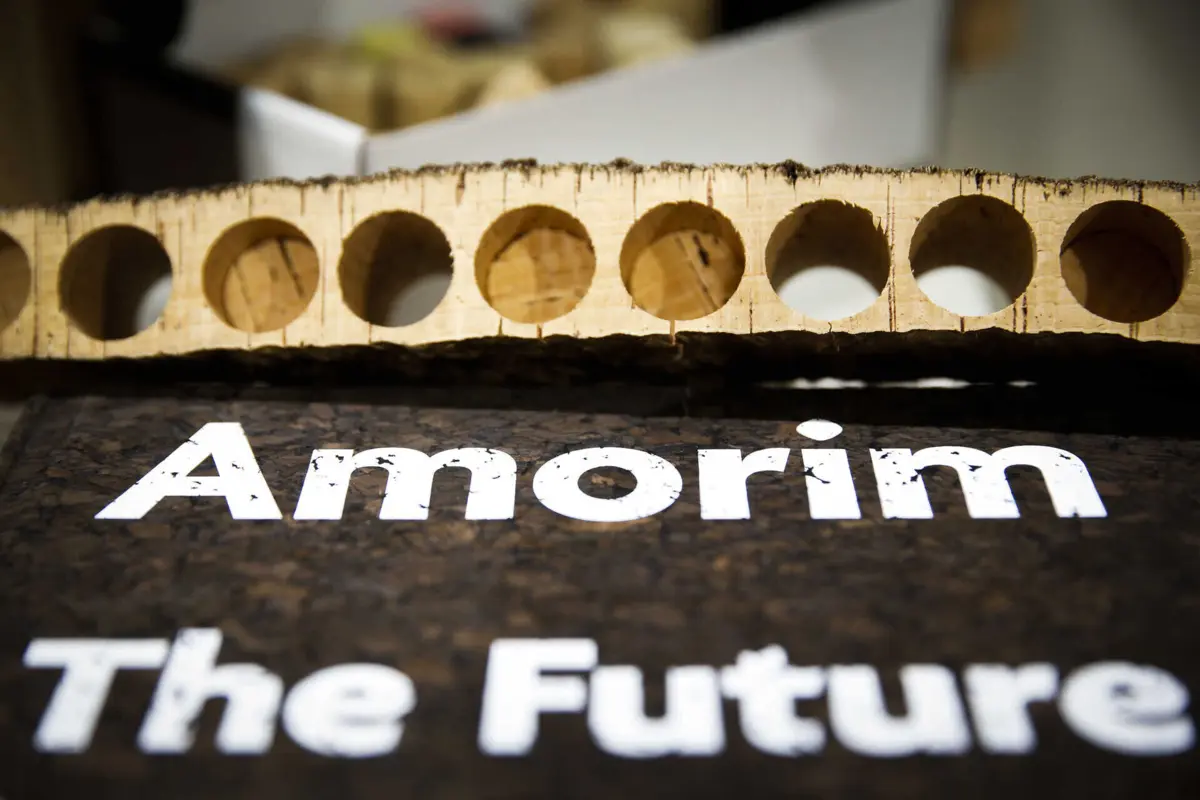 Imagem de contexto do artigo Moradores pedem fim do desconforto provocado por fábrica da cortiça de Silves