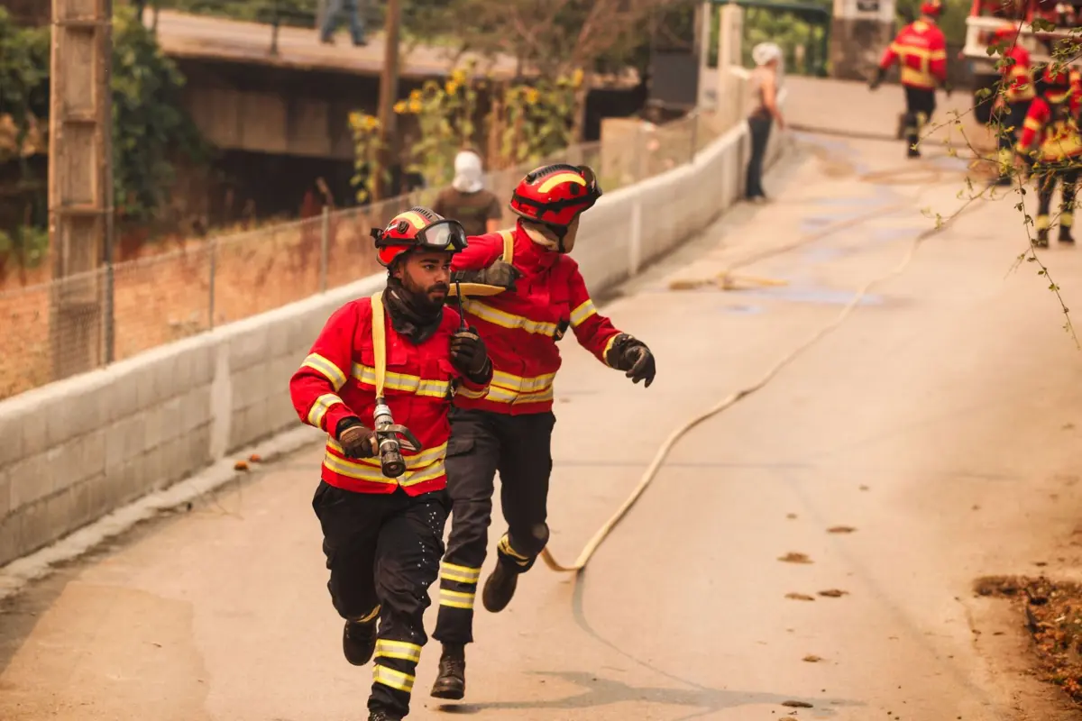 O incêndio rural de Arganil estava a ser combatido por mais de 950 operacionais