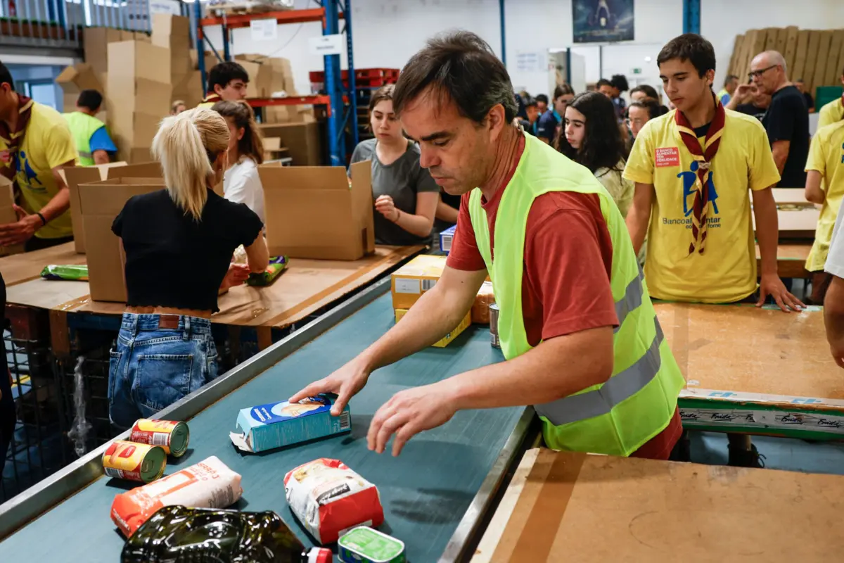 Campanha do Banco Alimentar Contra a Fome recolheu 1878 toneladas de alimentos