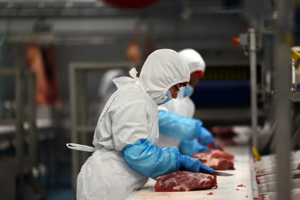 Foram retirados 232 trabalhadores do local